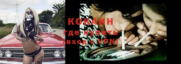 эйфоретик Арсеньев