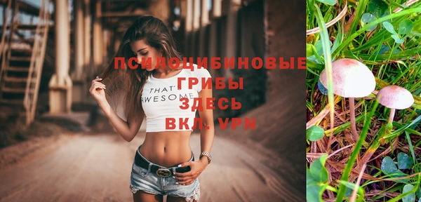 mdpv Аркадак